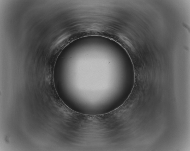 X0000097851015200803141212
