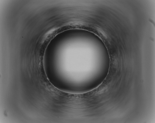 X0000097851016200803141212