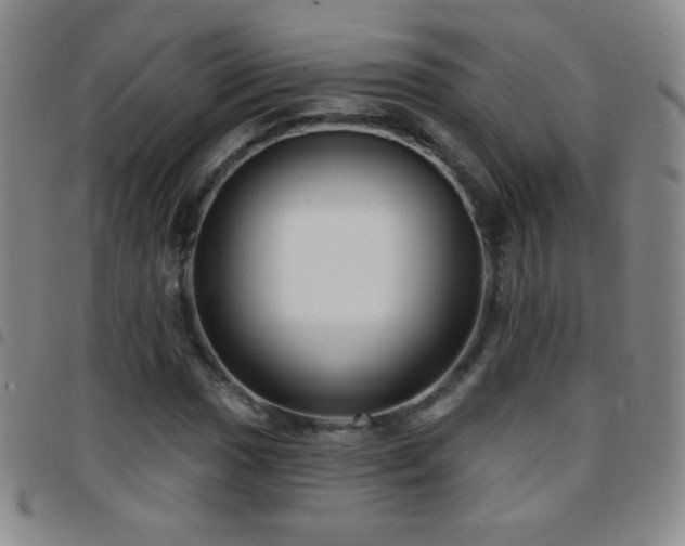 X0000097851017200803141212