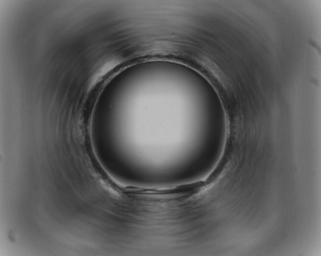 X0000097851018200803141212