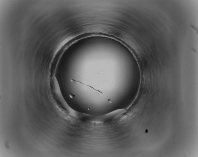 X0000097851020200803141212