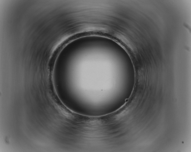 X0000097851021200803141212