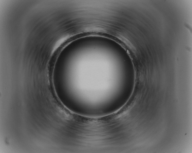 X0000097851022200803141213