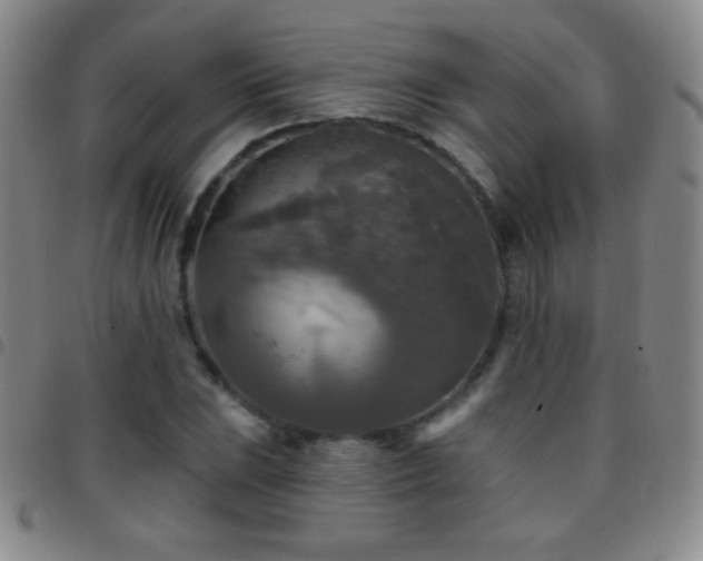 X0000097851023200803141213