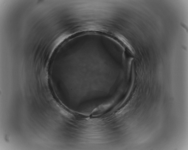 X0000097851024200803141213
