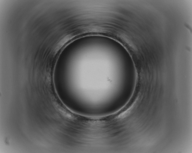 X0000097851025200803141213