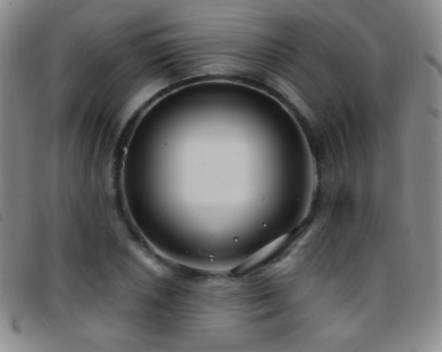 X0000097851026200803141213