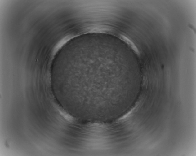 X0000097851027200803141213