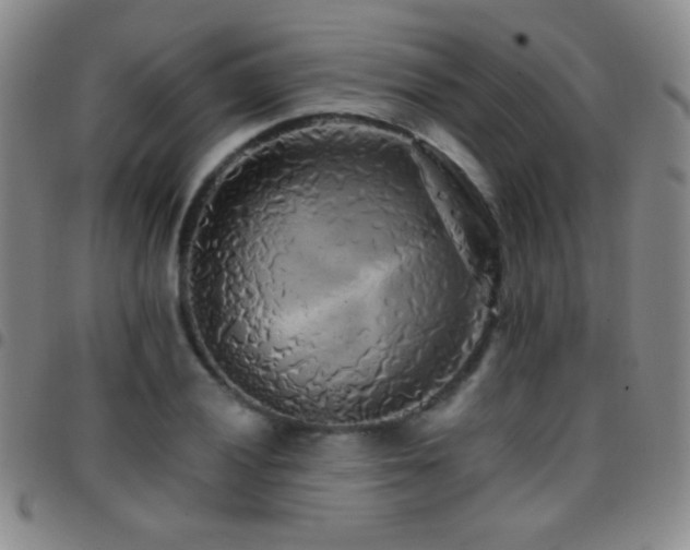 X0000097851028200803141213