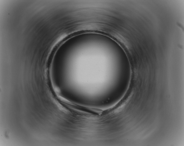 X0000097851029200803141213