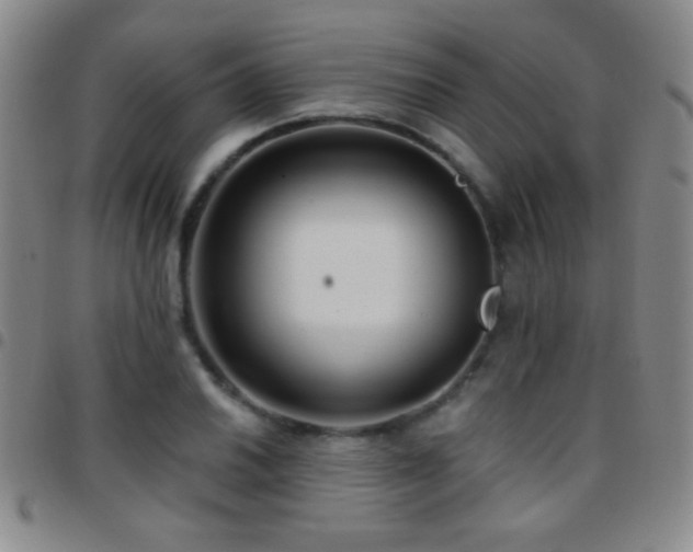 X0000097851030200803141213