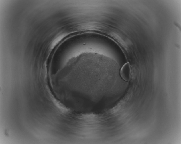 X0000097851031200803141213