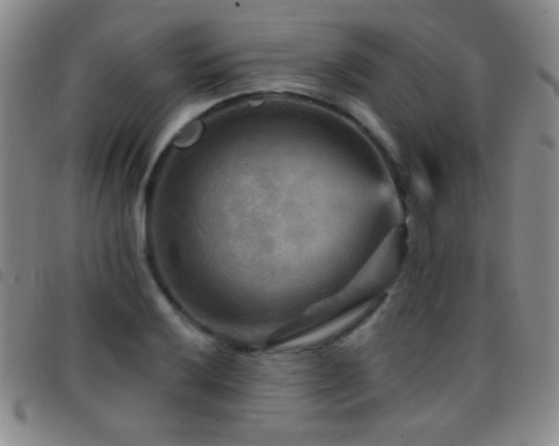X0000097851032200803141213