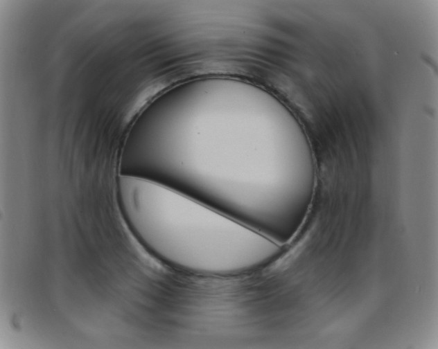 X0000097851033200803141213