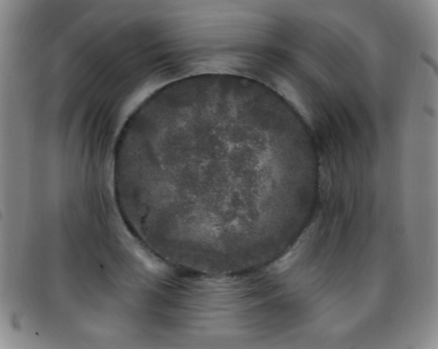 X0000097851035200803141213