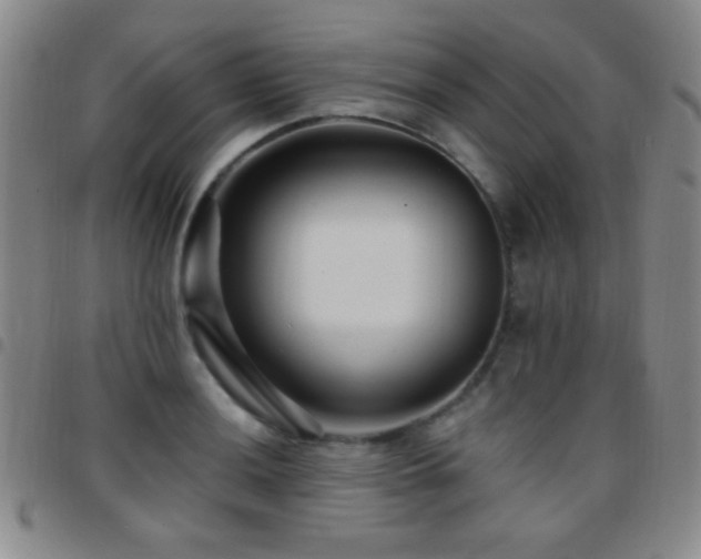 X0000097851036200803141213
