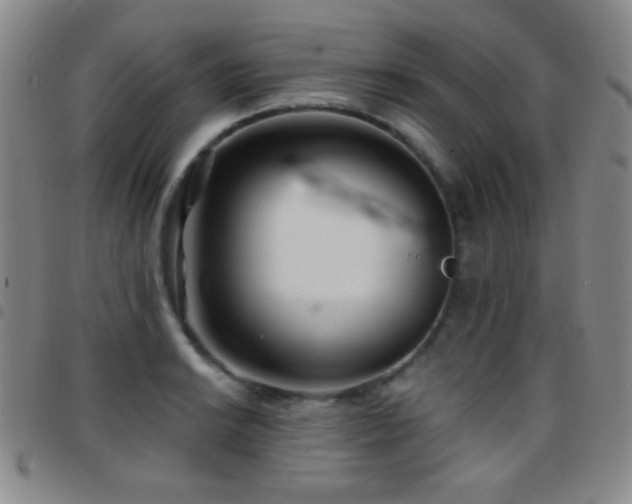 X0000097851038200803141213