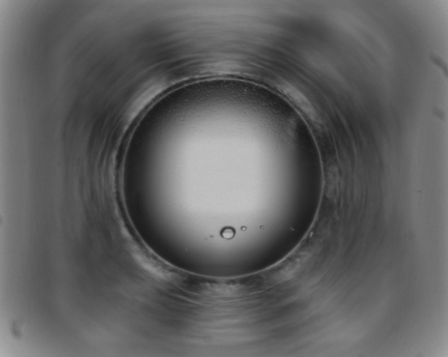 X0000097851039200803141213