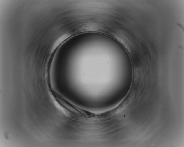 X0000097851042200803141213