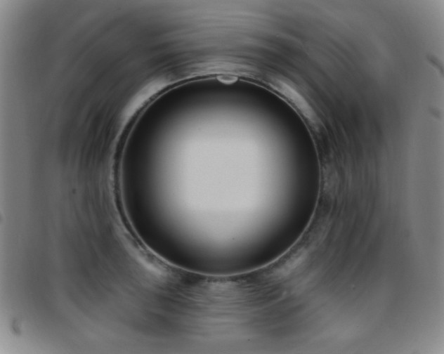 X0000097851043200803141213