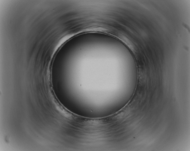 X0000097851044200803141213