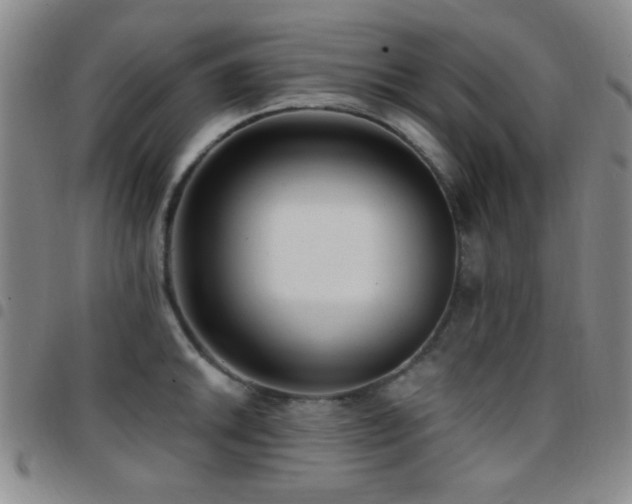 X0000097851046200803141213