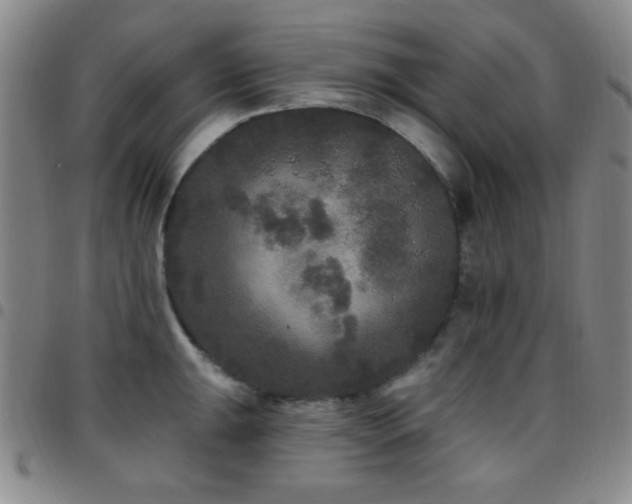X0000097851047200803141213