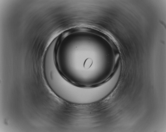 X0000097851048200803141213