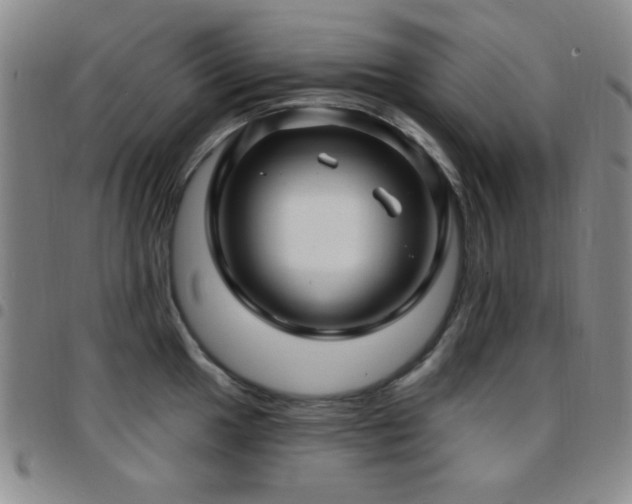 X0000097851049200803141213