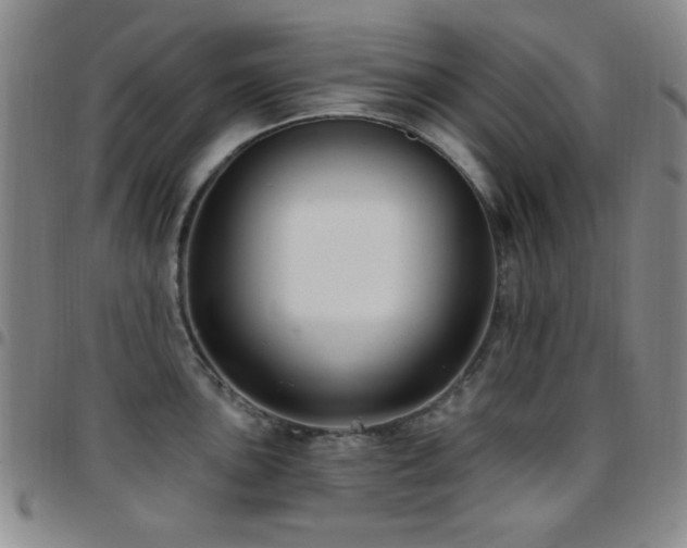 X0000097851051200803141213