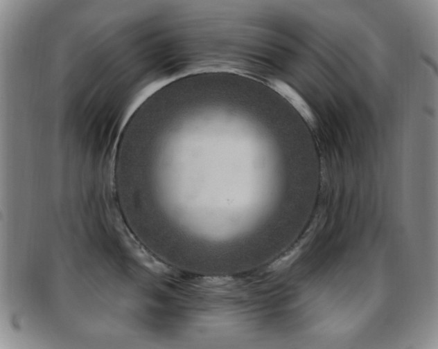 X0000097851052200803141213