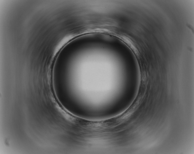 X0000097851054200803141213