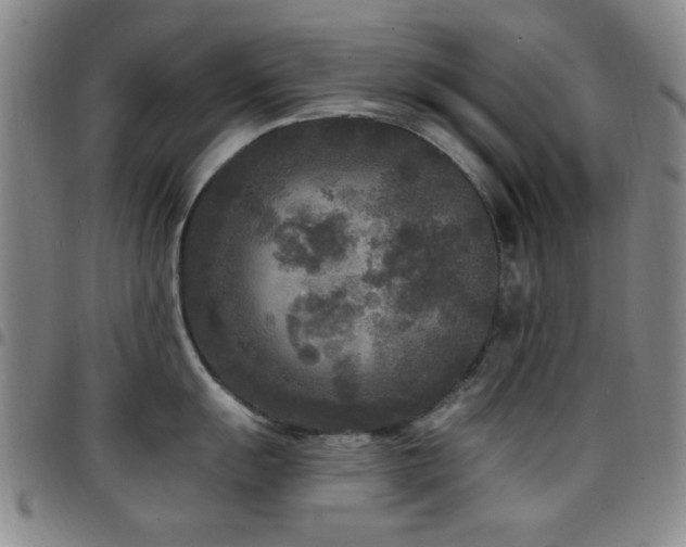 X0000097851055200803141213