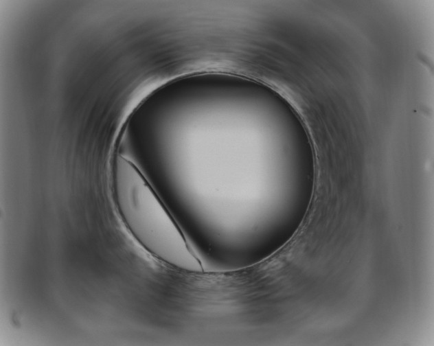 X0000097851056200803141213