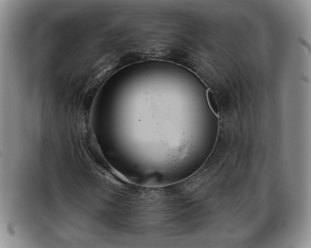 X0000097851058200803141212