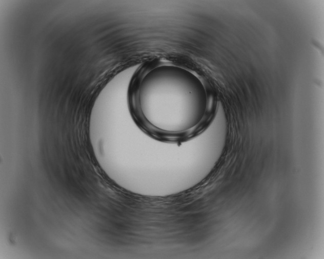 X0000097851060200803141212