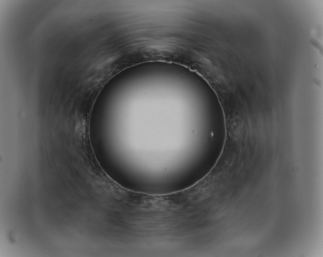 X0000097851061200803141212