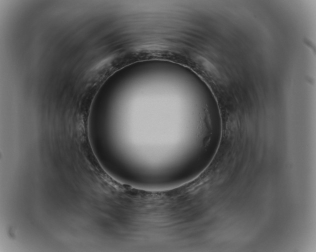 X0000097851062200803141212