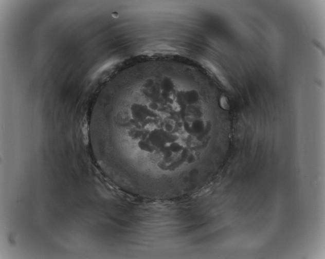 X0000097851063200803141212