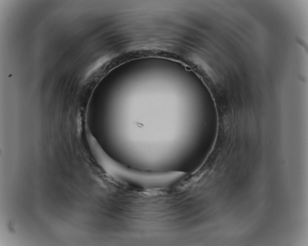 X0000097851064200803141212