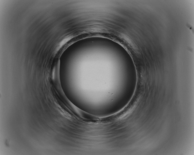 X0000097851065200803141212