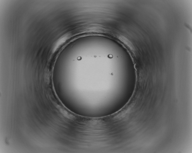 X0000097851067200803141212