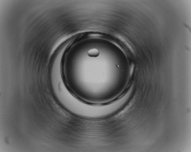 X0000097851069200803141212