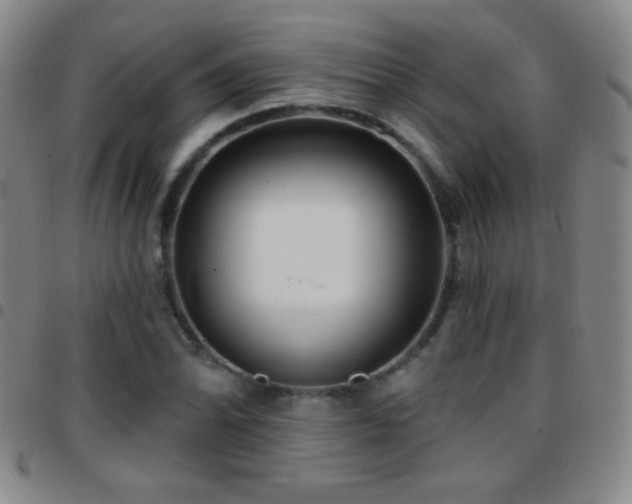 X0000097851070200803141212