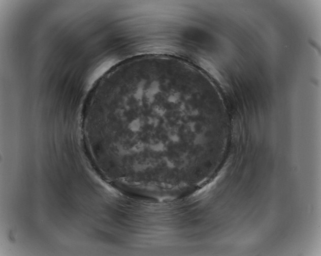X0000097851071200803141212