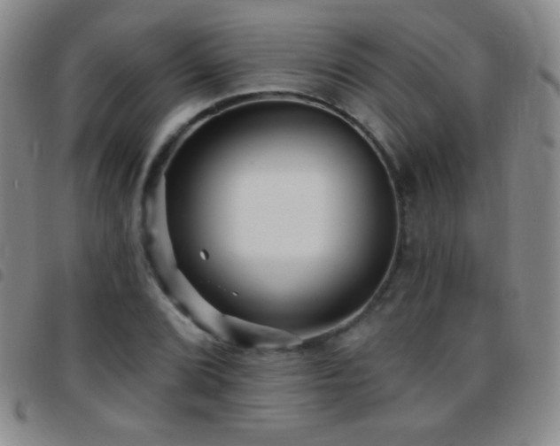X0000097851072200803141212