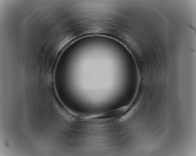 X0000097851073200803141212