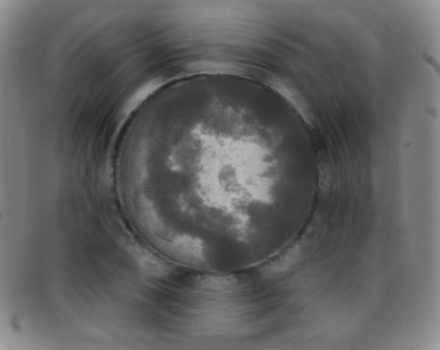 X0000097851074200803141212