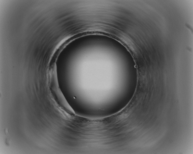 X0000097851076200803141212