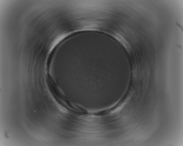 X0000097851077200803141212